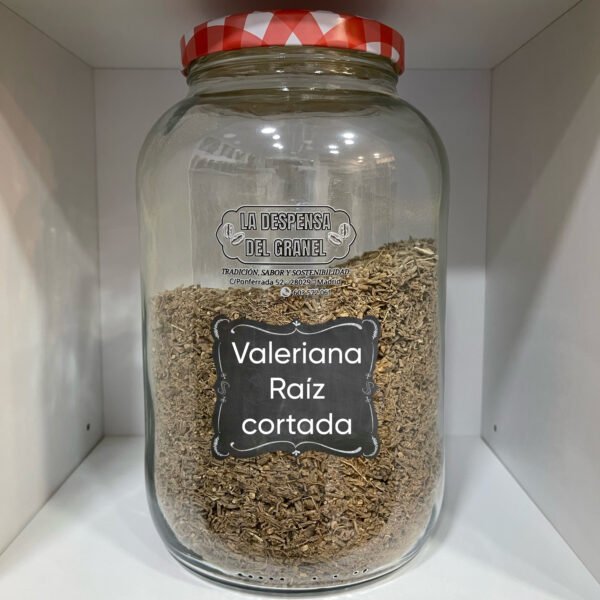 Valeriana raíz cortada
