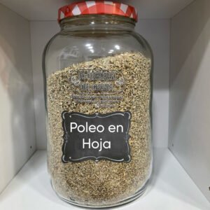 39ADB1E1-3B40-488A-A618-94C8B3281954 Poleo en hoja