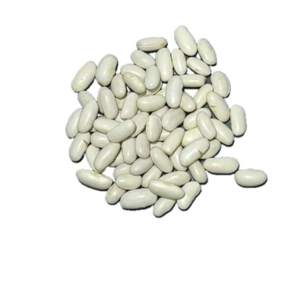 IMG_5306 Alubia riñón