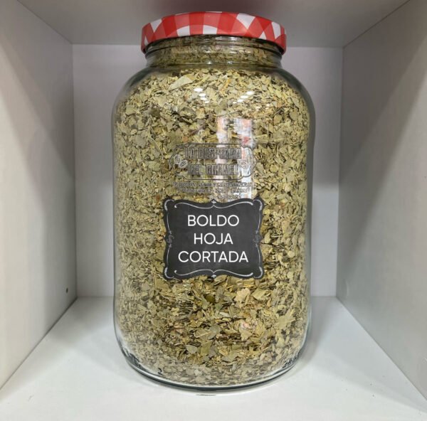 Boldo Hoja Cortada
