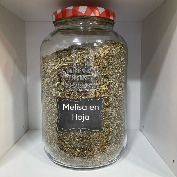 Melisa en hoja