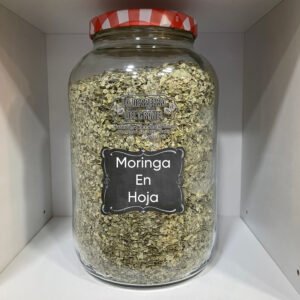 2EBAE0DD-56A2-4DB4-9B36-04811A12DBBE Moringa en hoja