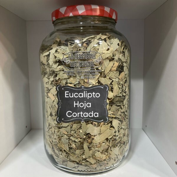 99E44ECF-B456-493C-A046-856E00060058 Eucalipto hoja cortada