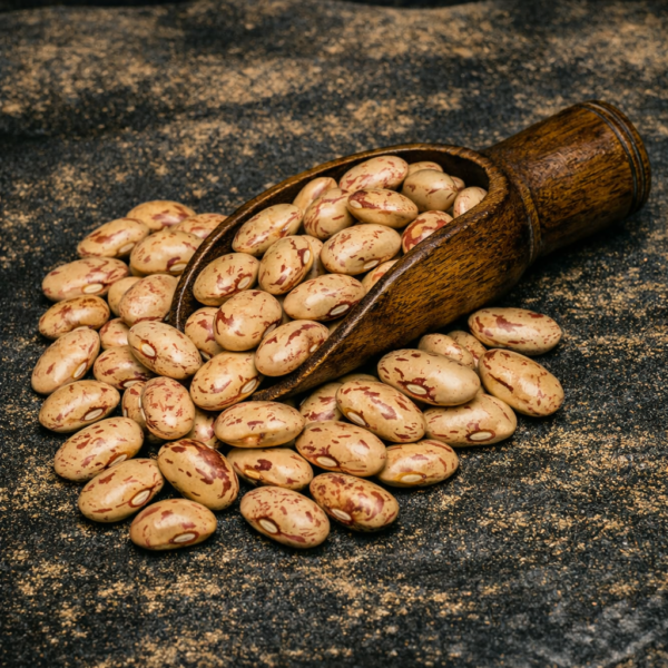 Alubia Pinta ECO a granel Legumbre ecológica de sabor intenso Alubia Pinta ECO a granel Legumbre ecológica de sabor intenso
