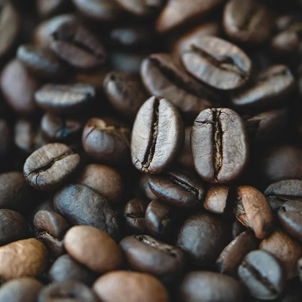 Café Kenia AA a Granel El Café Kenia AA es uno de los cafés arábicos más valorados del mundo por su intensidad, complejidad y elegancia en taza. Procedente de plantaciones situadas entre 1.600 y 2.000 metros de altitud, este café destaca por su acidez brillante, su cuerpo medio-alto y sus notas afrutadas y vinosas, características únicas de los cafés africanos de alta calidad. En La Despensa del Granel, en Madrid, lo ofrecemos natural, fresco y disponible en grano o molido al momento, para que disfrutes de su aroma y sabor en su máximo esplendor. Es un café ideal para quienes buscan una taza intensa, con carácter y llena de matices.