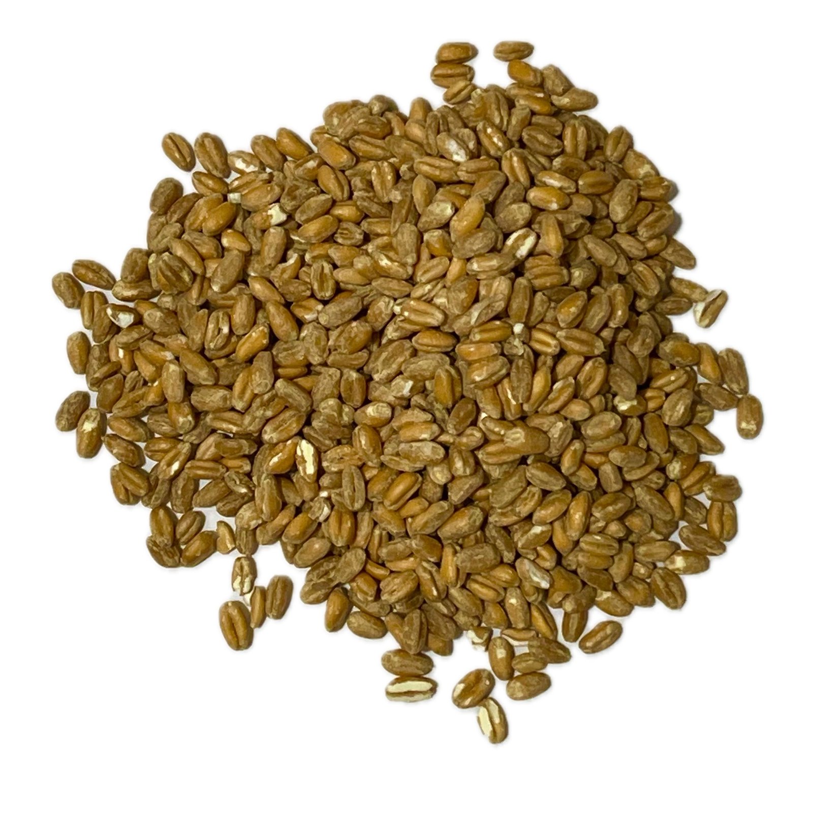 Natural, ecológico y versátil: la base tradicional de una alimentación consciente. Grano entero de color dorado natural. Textura firme y agradable tras la cocción. Sabor suave con notas ligeramente tostadas. Aroma cereal limpio y auténtico. Un básico ecológico lleno de tradición.