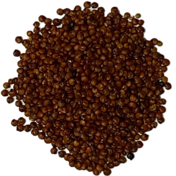 Rico en Proteínas y Fibra. La quinoa negra ecológica tiene sabor más intenso y textura firme. Mantiene su forma tras la cocción. Rica en proteínas vegetales y fibra. Ideal para ensaladas, bowls y guarniciones. Un pseudocereal gourmet, nutritivo y versátil.