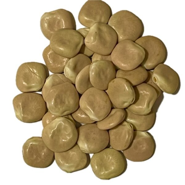 Altramuces grandes La Legumbre Proteica Tradicional del Aperitivo Mediterráneo Los altramuces secos son una legumbre rica en proteínas vegetales, fibra y minerales, muy apreciada en la gastronomía mediterránea como aperitivo saludable. Tras su proceso tradicional de remojo y desalado, ofrecen un sabor suave y una textura firme, convirtiéndose en un snack nutritivo y natural.