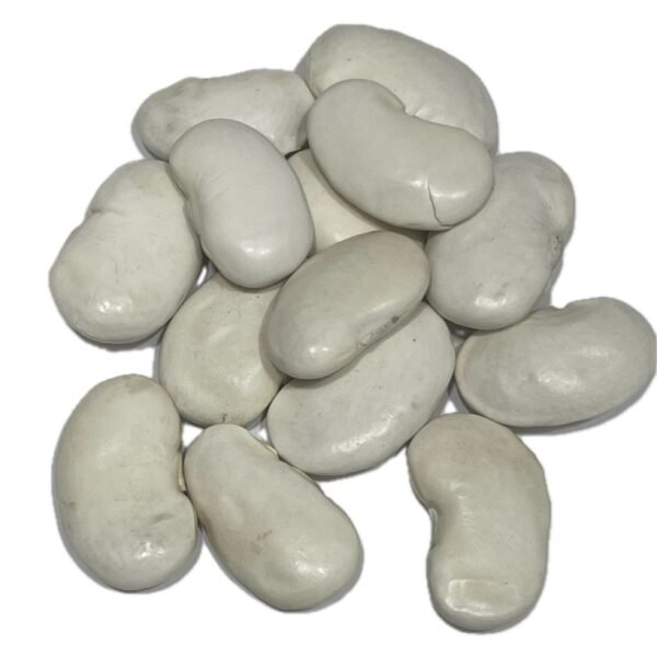 Otros nombres: judión de La Granja de San Ildefonso, judía grande blanca, alubión, judión segoviano. Su gran tamaño impresiona desde el primer vistazo. Al cocerse, su piel fina envuelve un interior mantecoso. La textura es sedosa, suave y muy envolvente. Cada cucharada es cremosa, delicada y reconfortante. Una legumbre noble que eleva cualquier guiso.