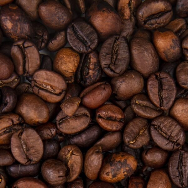 Café de Costa Rica Arábica GOURMET a granel